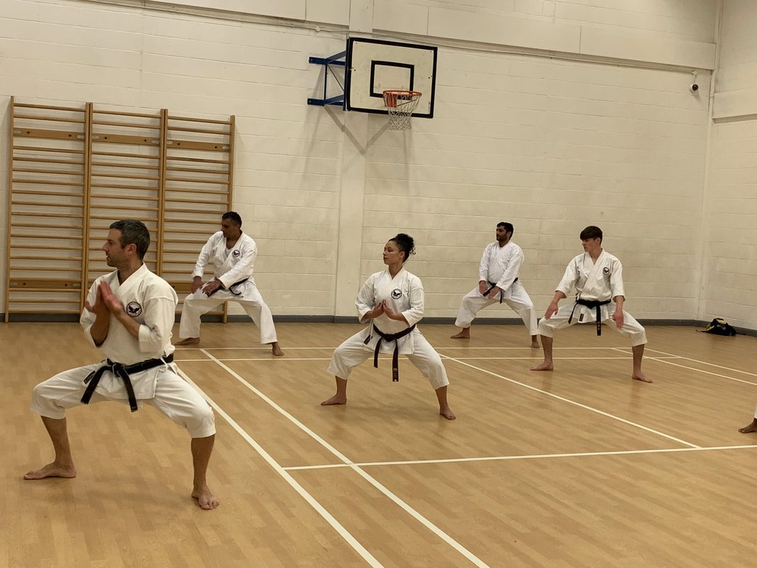Adult black belts holding a wide horse stance in a school sports hall