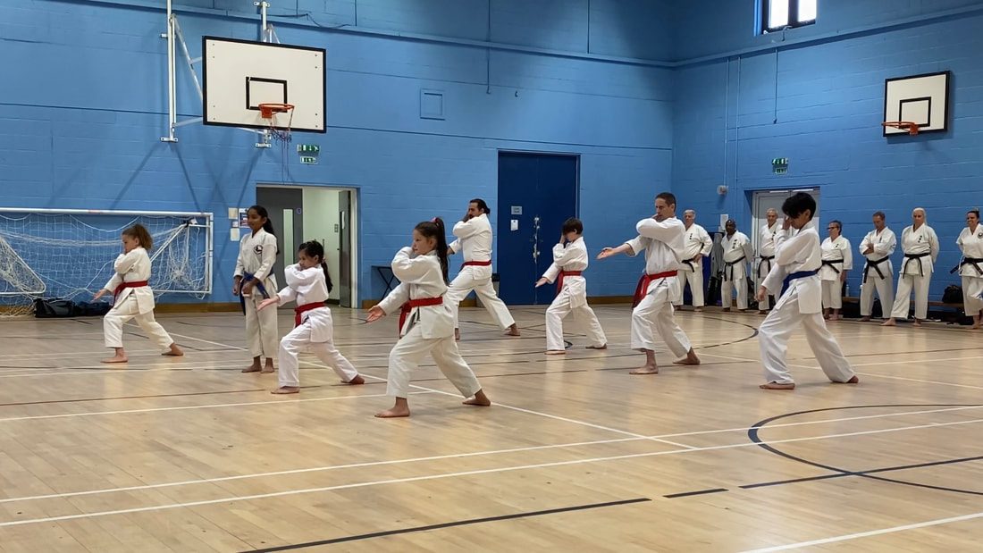 A row of young students in white gis practising punches, with instructors and older students training behind them