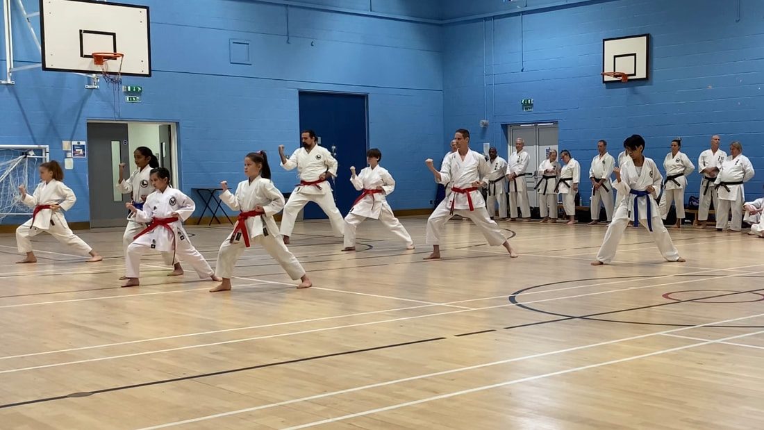 Children and adults training side by side in kata stances during a Kenshukai class