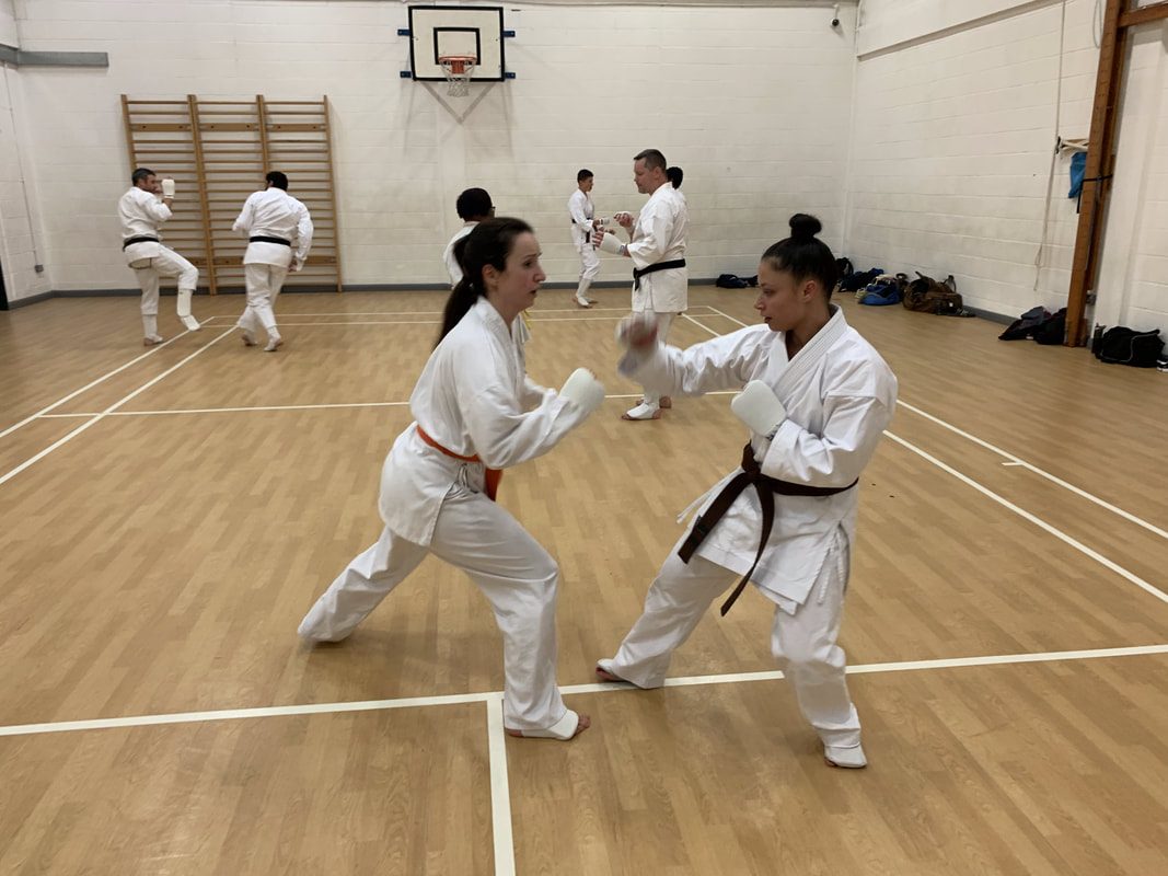 Two students in mitts sparring during a kumite class